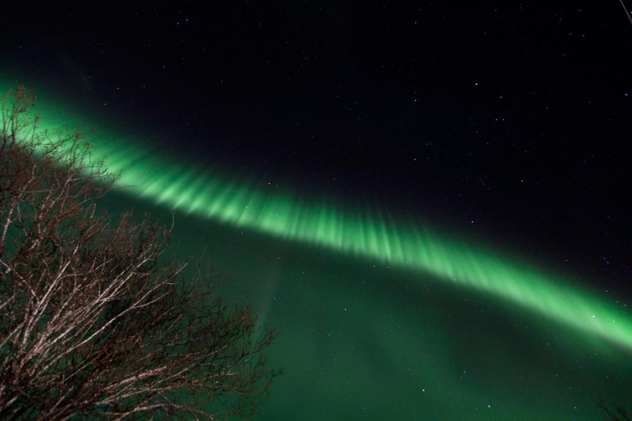 Aline's Stue, Utskarpen Fuglstad